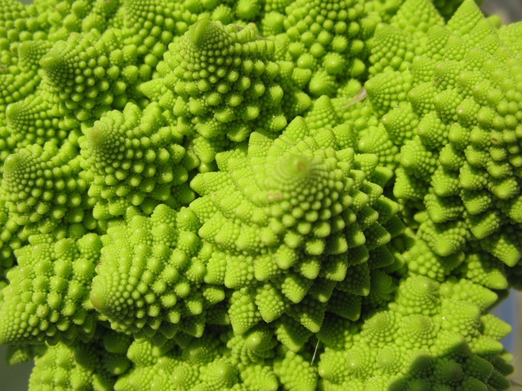 Romanesco