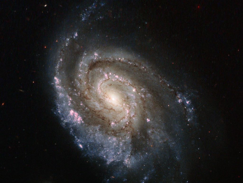 Stellar collapse