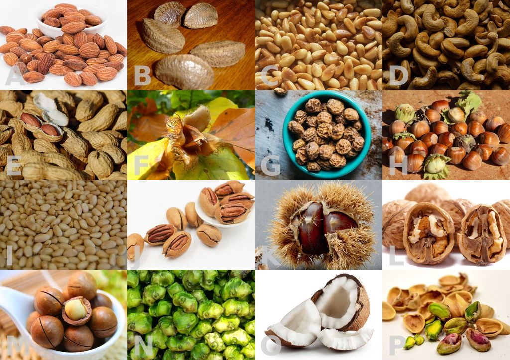 Edible Nuts and Seeds