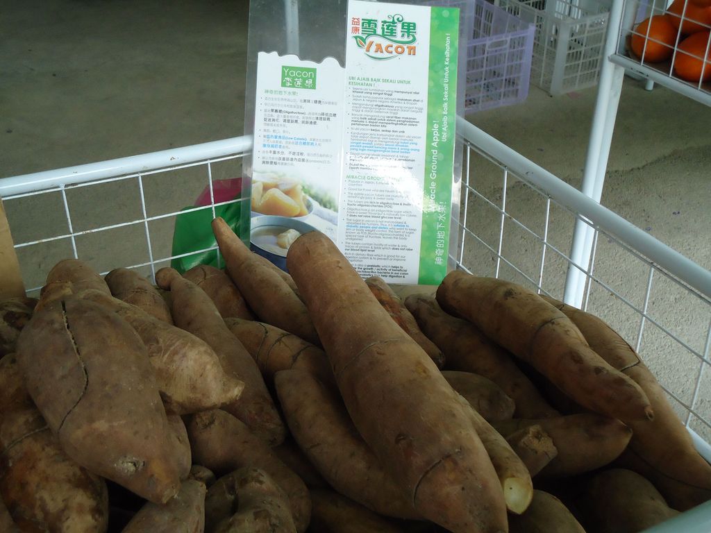 Edible Tubers