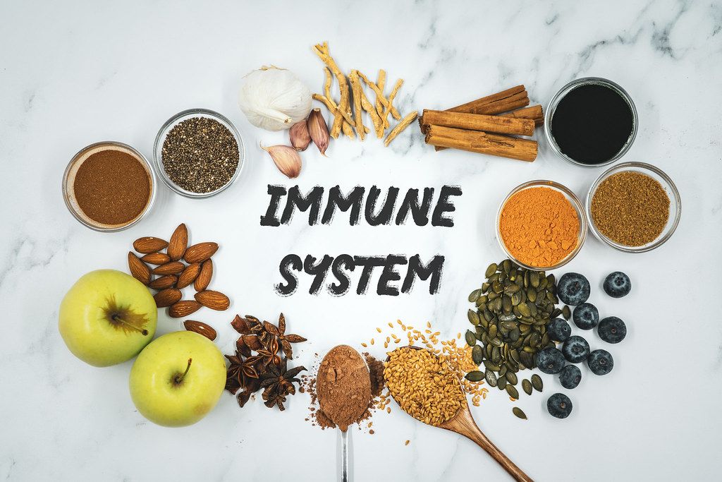 food and immune system