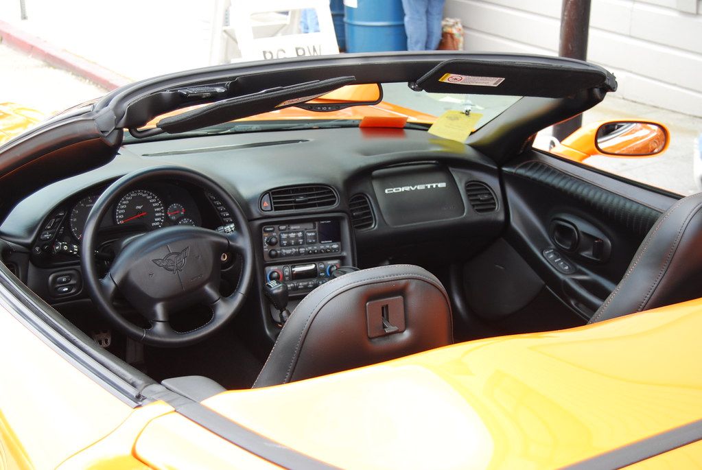 Getting Way Too Friendly with the Horn