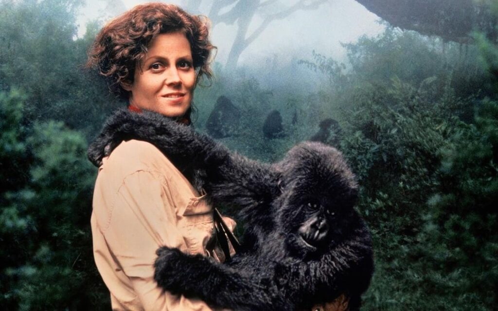 Gorillas in the Mist: The Story of Dian Fossey 1988，IMDB Rating: 7.0, IMDB Votes: 29504, ID: 0095243