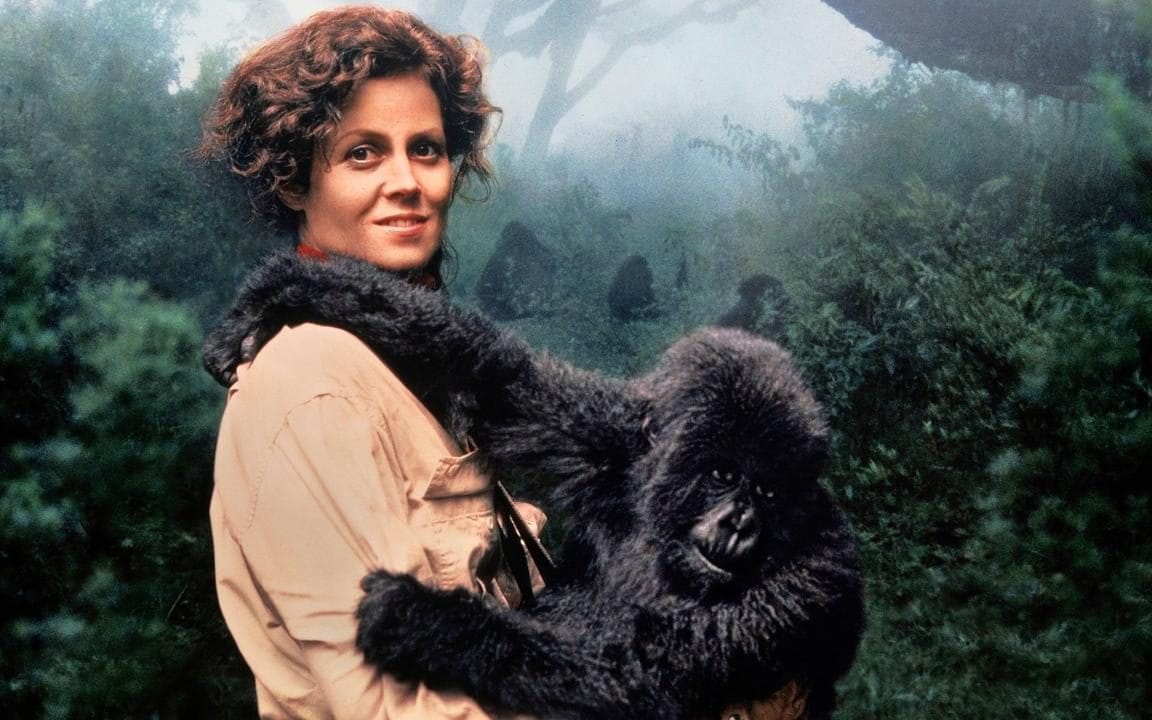 9. Gorillas in the Mist: The Story of Dian Fossey 1988