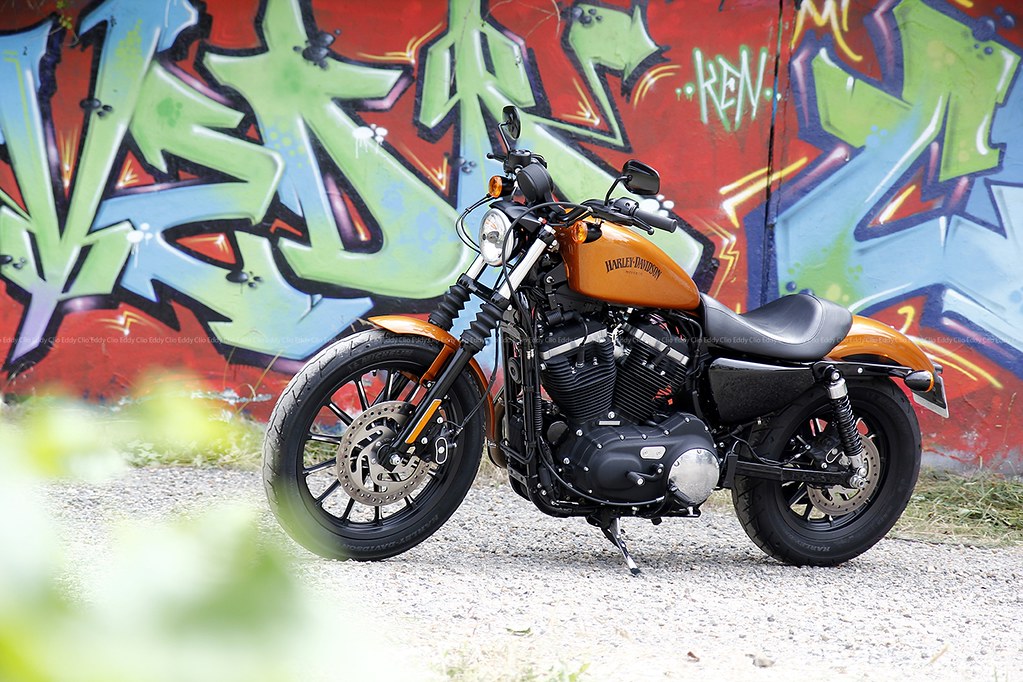 HARLEY DAVIDSON IRON