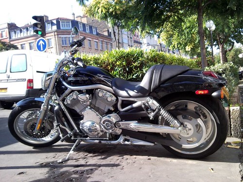 Iconic Rides: 13 Legendary Harley-Davidson Motorcycles Through History