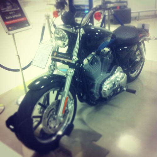 Harley davidson XL883L superlow#instagood #harley#davidson#qatar #doha #instaqatar