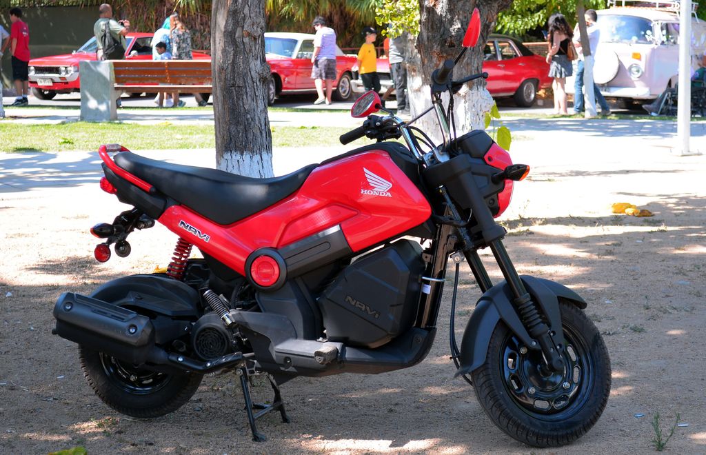 Honda Navi 100