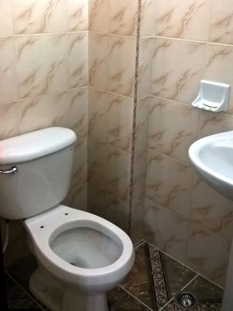Hong Kong Seawater Toilets