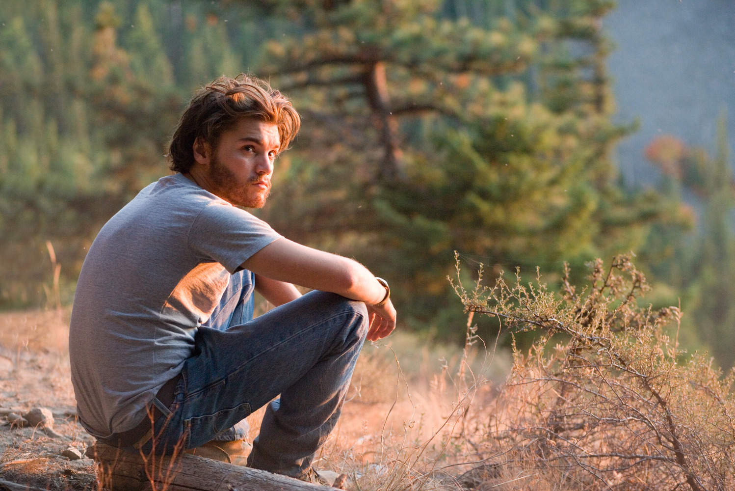 1. Into the Wild 2007