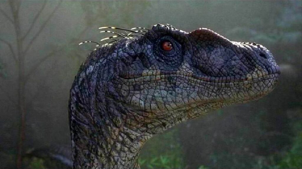Jurassic World Dominion 2022,IMDB Rating: 5.6, IMDB Votes: 210346, ID: 8041270