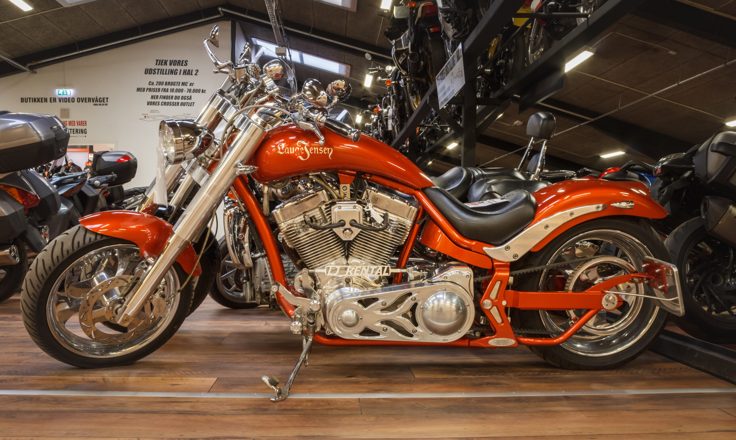 Lauge Jensen - Great Dane 1800-