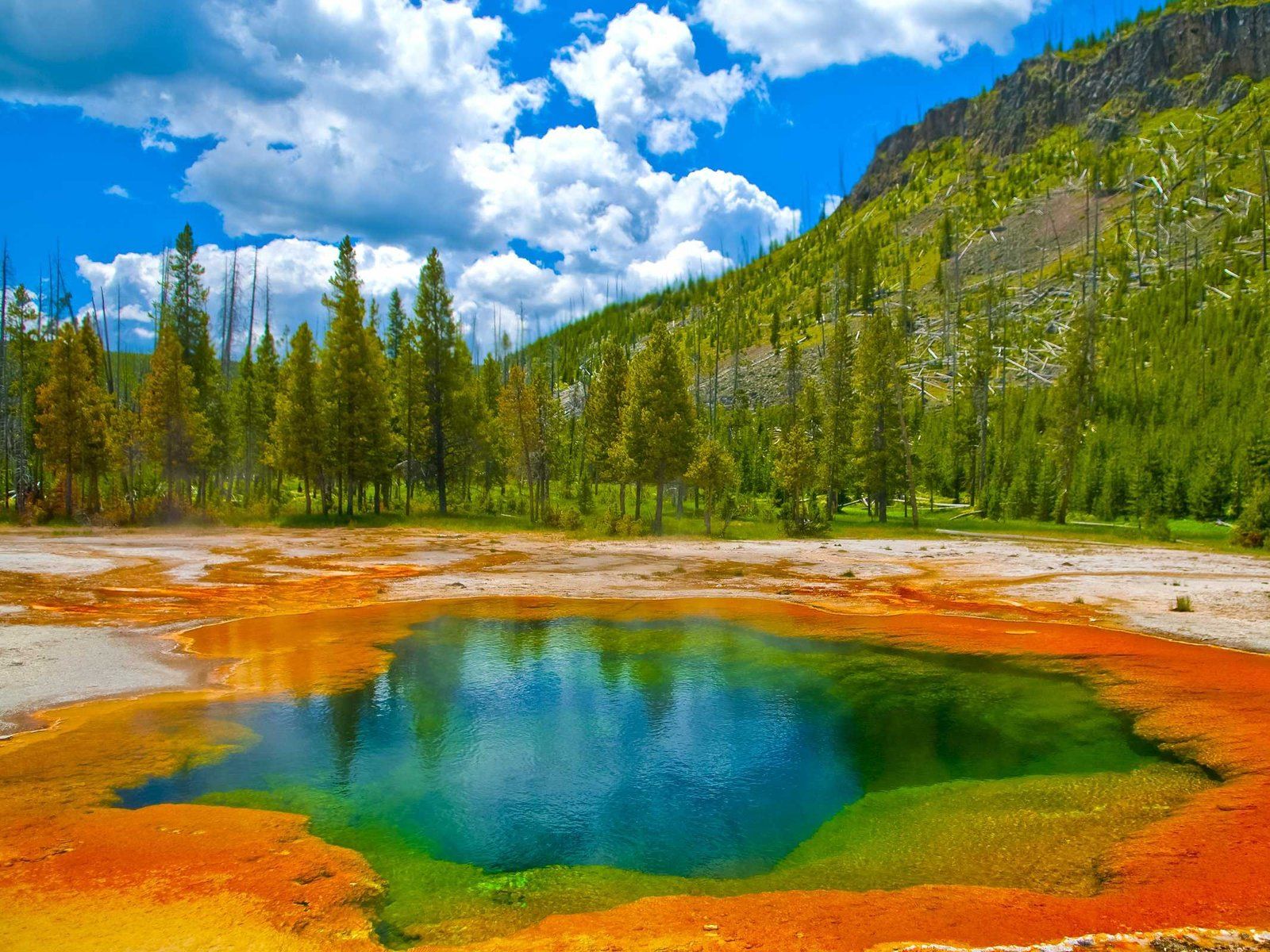 Yellowstone magma
