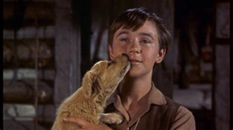 13. Old Yeller 1957