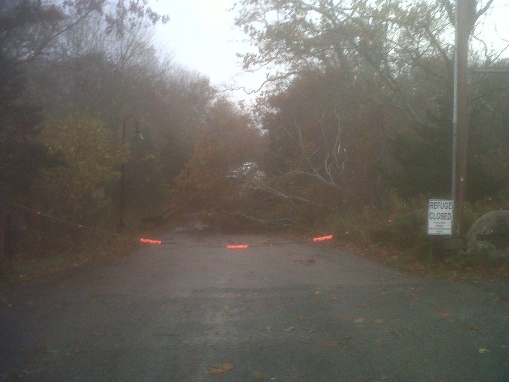 Rhode Island's Rough Ride