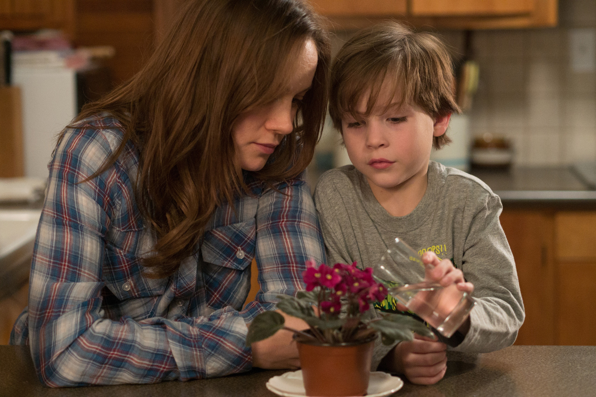 15 Underrated A24 Movies You Need to See 15 Underrated A24 Movies You Need to See
