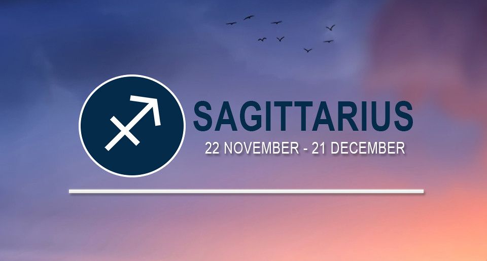 Sagittarius (November 22 – December 21)