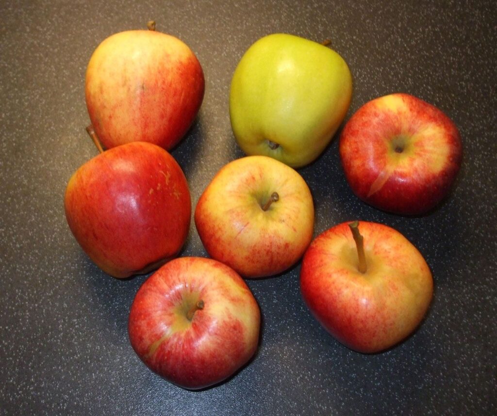 apples or carrots
