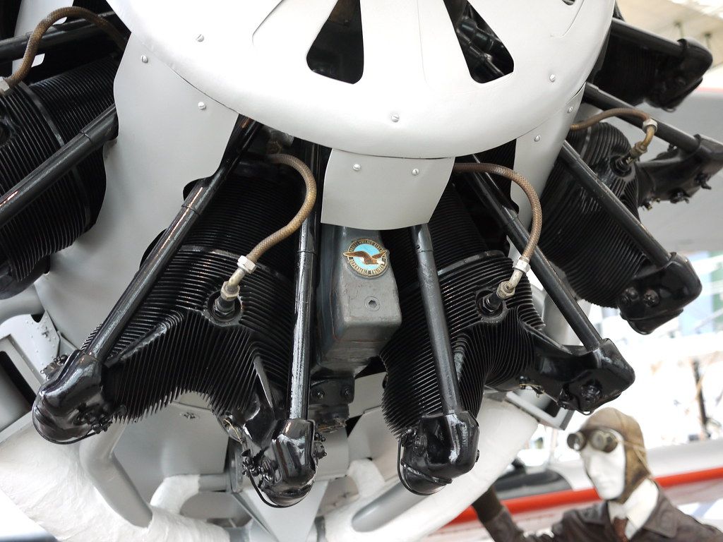 Special Preparations and Adjustments