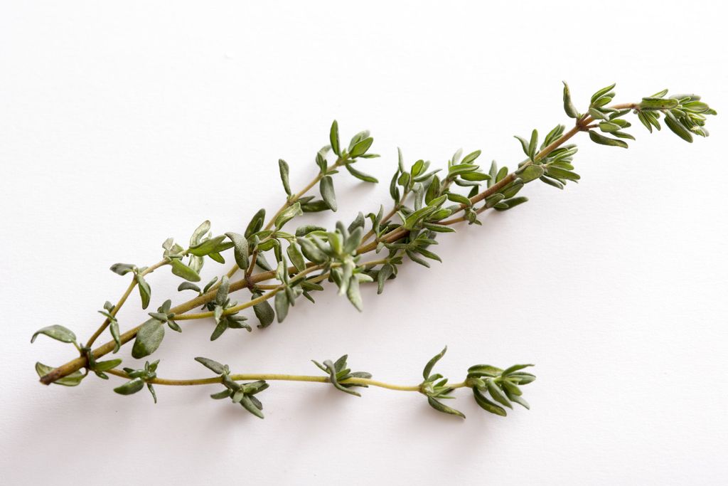 Beyond the Plate: Some Genius Ways to Transform Leftover Herbs and Revolutionize Your Kitchen