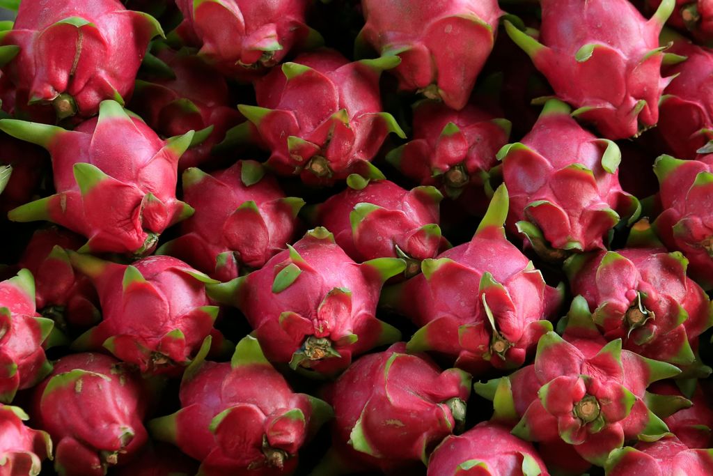 Pitaya Foods Organic Dragon Fruit Cubes