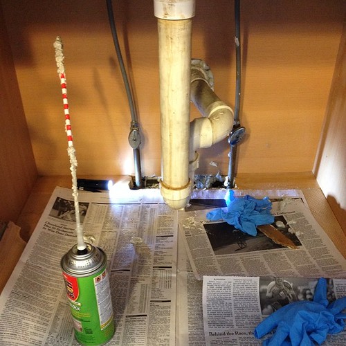 Sunday mouse-proofing adventures: