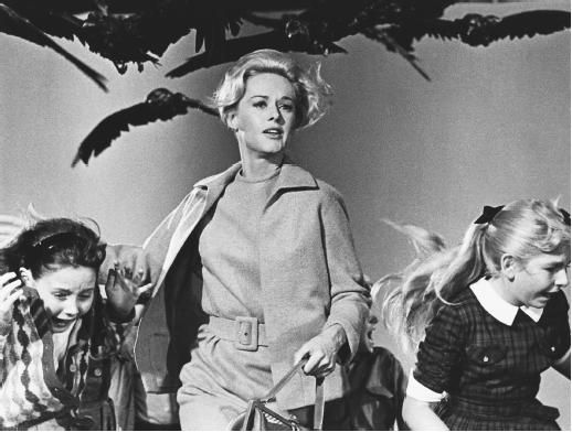 11. The Birds 1963