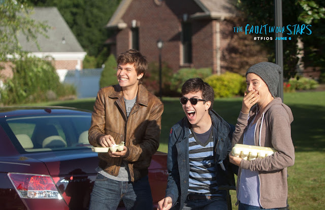 28. The Fault in Our Stars 2014