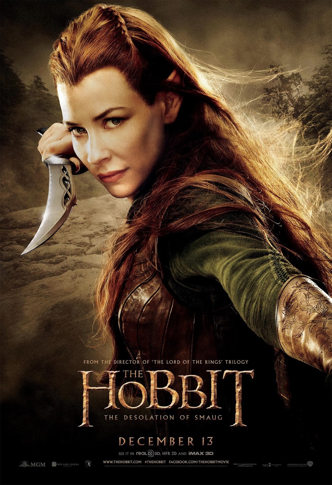 18. The Hobbit: The Desolation of Smaug 2013