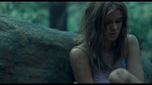 35. The Last House on the Left 2009