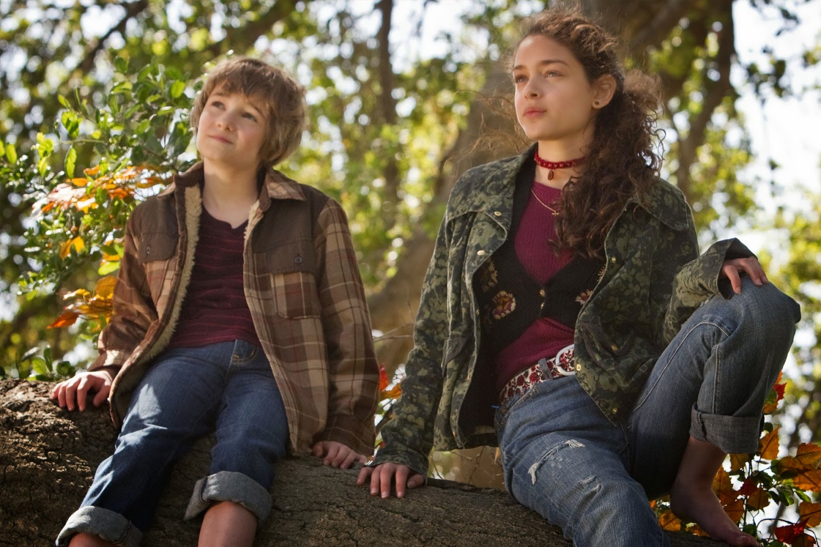 Beyond the Blockbuster: 15 Hidden Gem Movies Loved by Fans