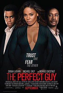 12. The Perfect Guy 2015