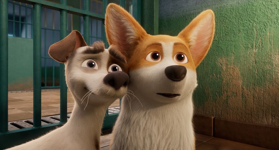 2. The Queen's Corgi 2019