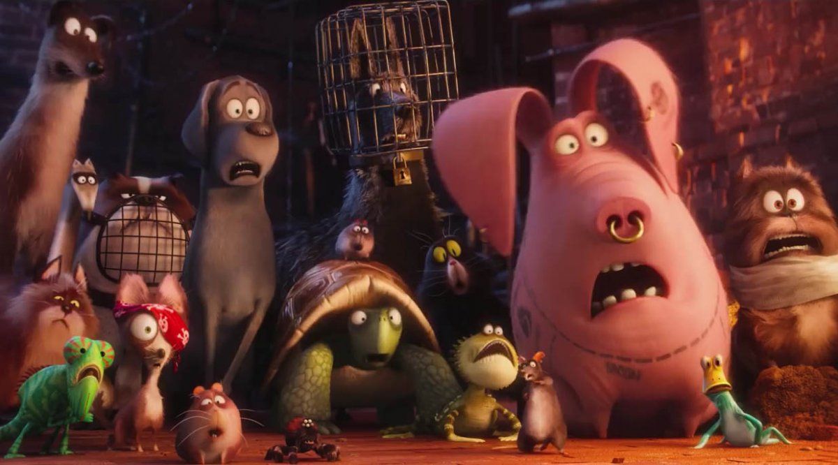 25. The Secret Life of Pets 2016