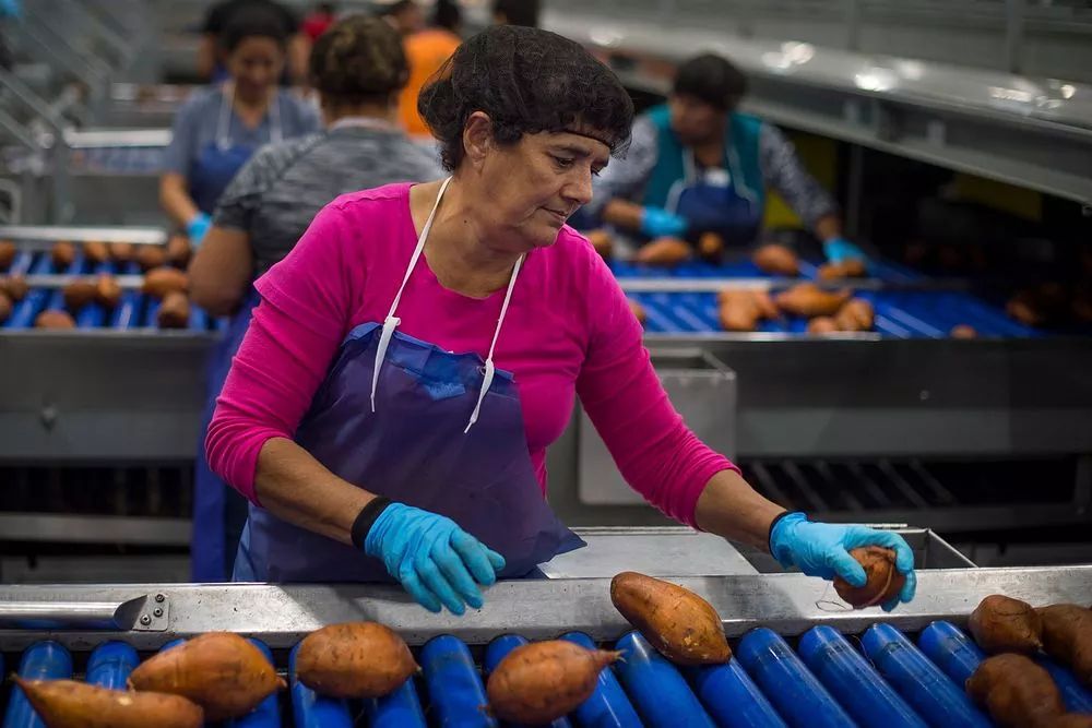 processing produce