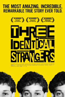 Three Identical Strangers 2018,IMDB Rating: 7.6, IMDB Votes: 41024, ID: 7664504