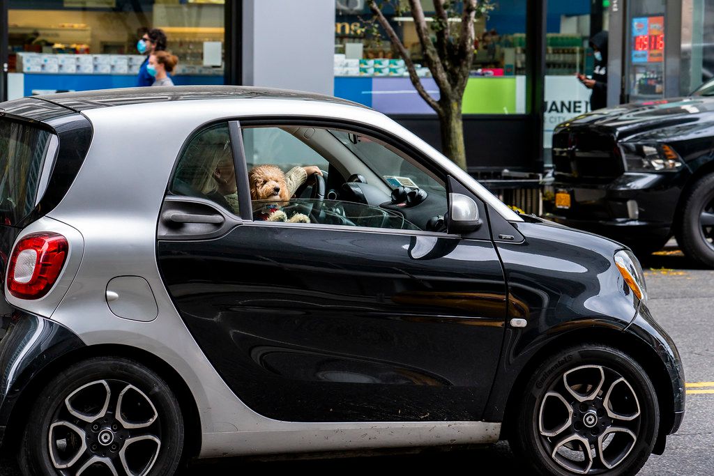 15 Little Cars That Packed a Big Punch Throughout History