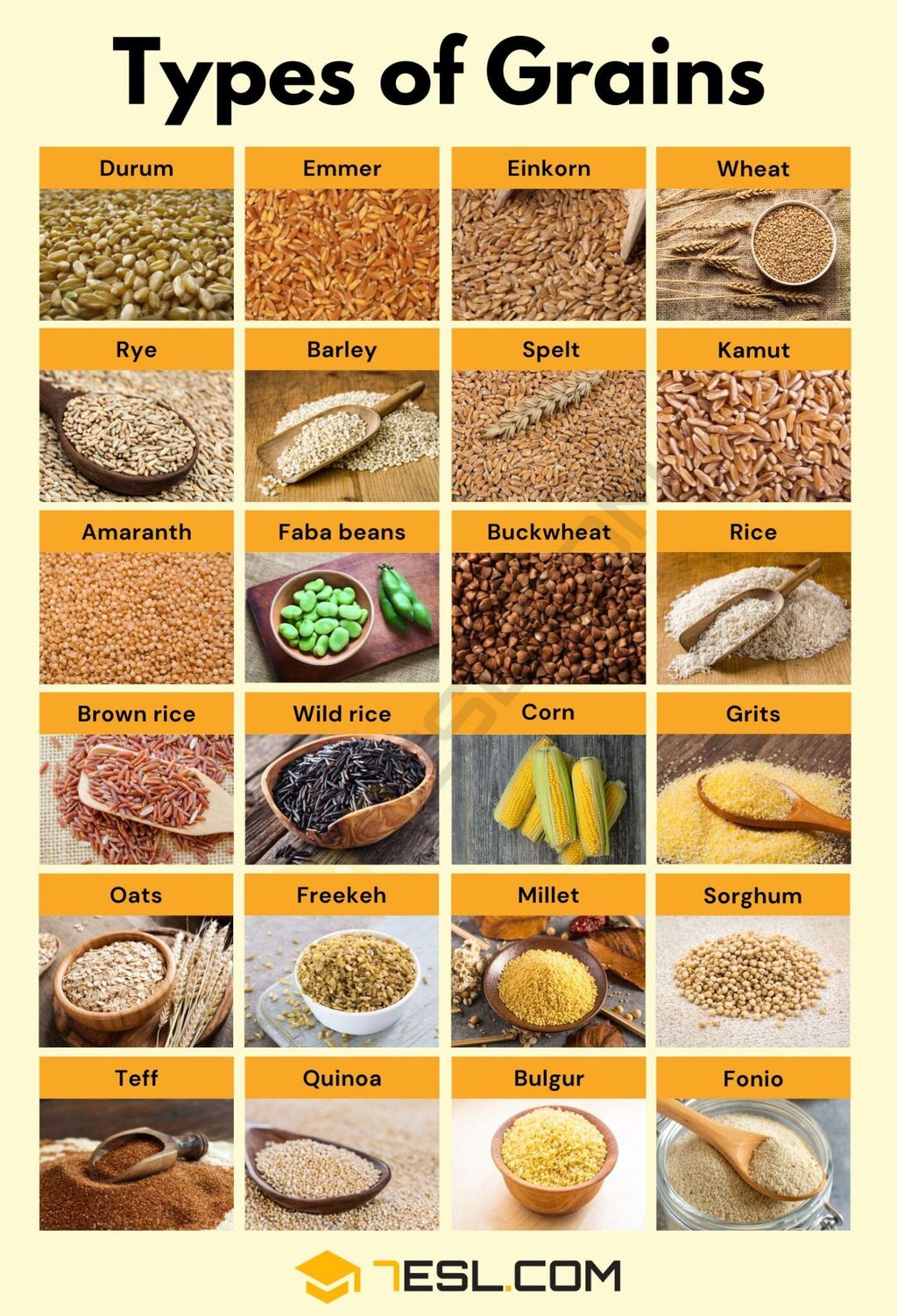 Grains and Cereals: Sustained Energy for Daily Demands