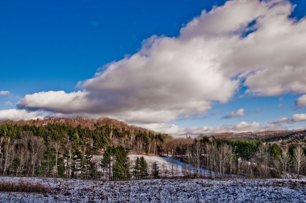 Vermont