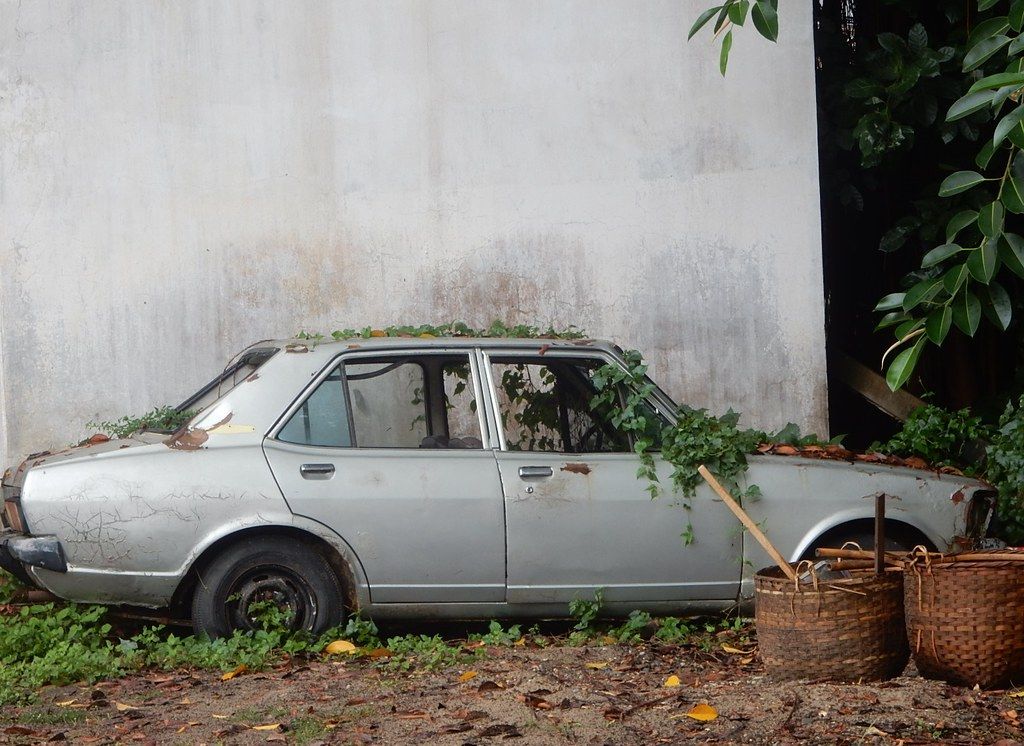 Vines Claiming Idle Car