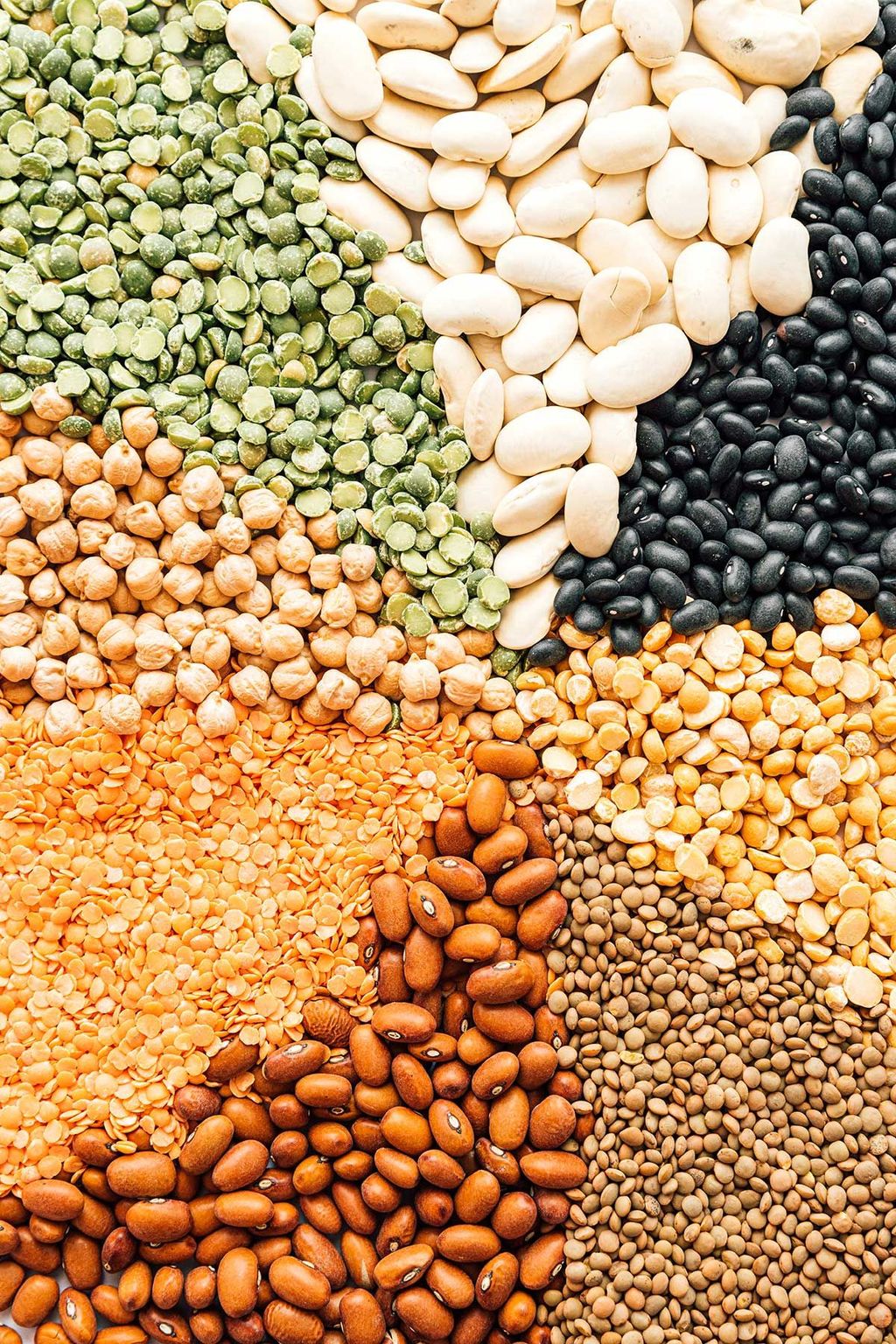 Legumes: The Sustainable Energy Keepers