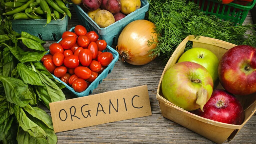 organic versus conventional farming