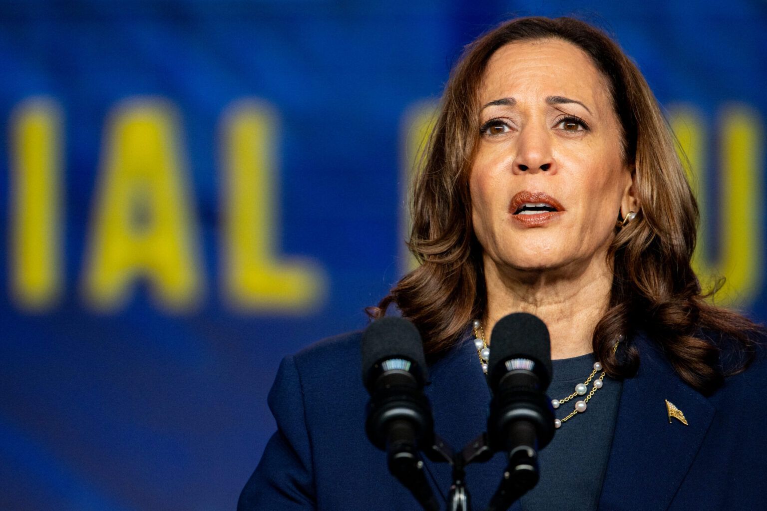 Kamala Harris: A Howard Alumna Reaching the Pinnacle of American Leadership