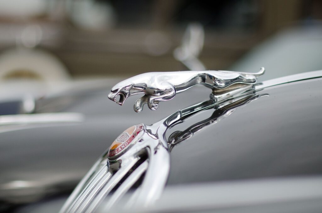 automobile, hood ornament, vehicle