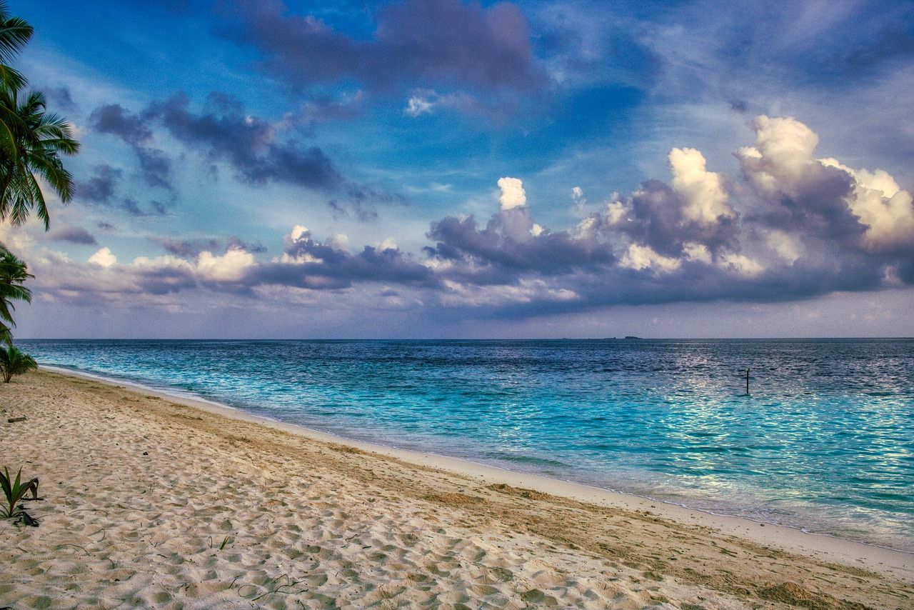 beach, coast, sea