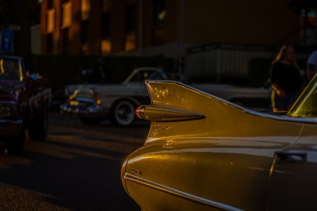 car, wing, hind wing