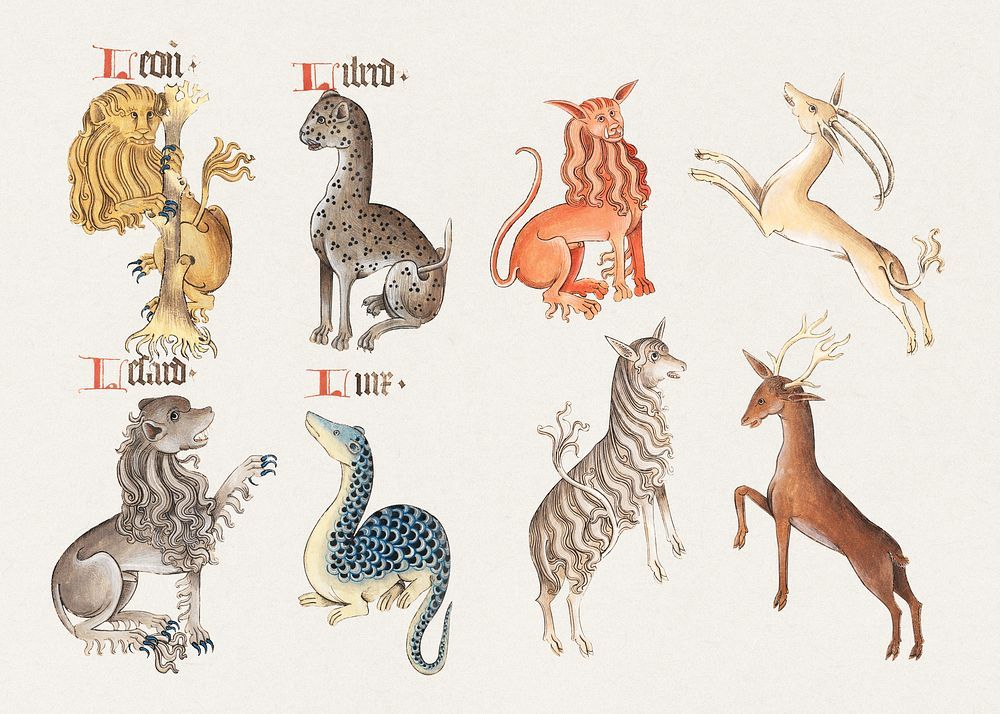 cat mystical creatures