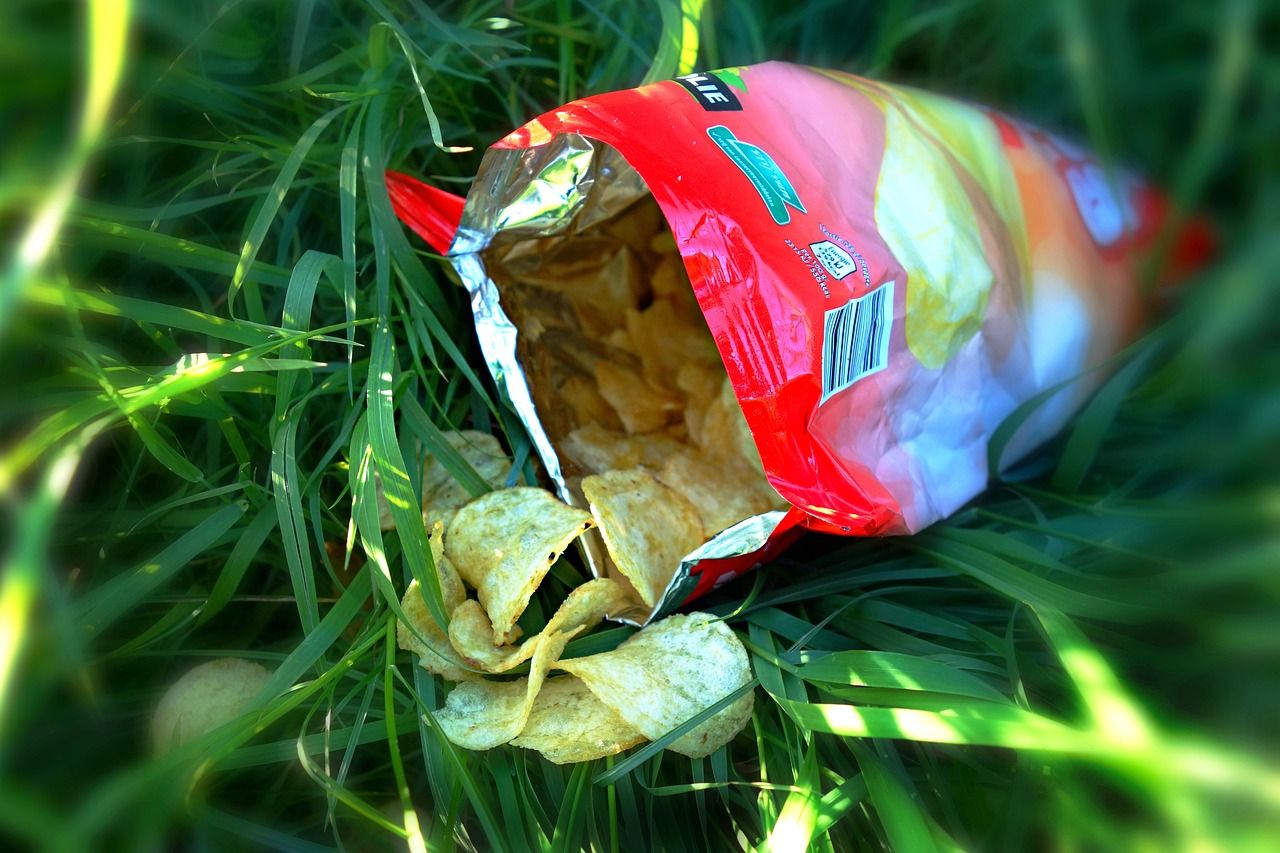 Why We Can’t Resist ‘Bad’ Food: Decoding Cravings, Challenging Labels, and Finding Balance