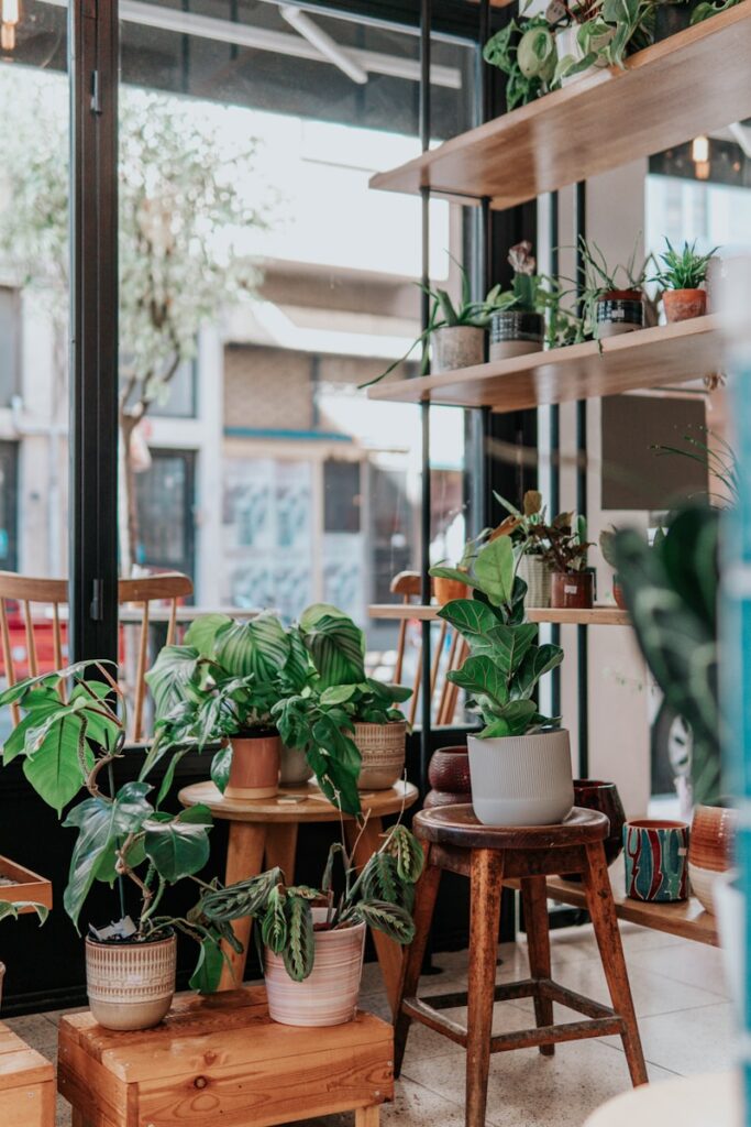 Transform Your Home: Discover 13 Amazing Plants That Naturally Repel Mice, Spiders, and Pesky Insects