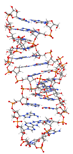 Decoding mRNA: A Comprehensive Overview of its Molecular Biology and Role in Modern Vaccine Development
